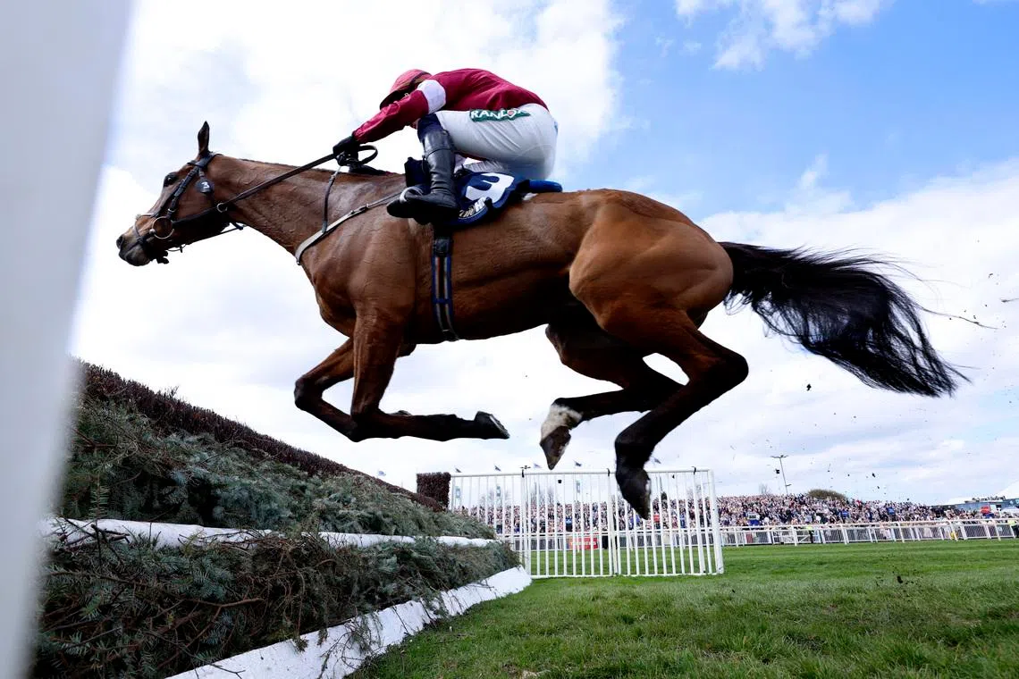Horse Racing-Gold Dancer suffers fatal injury in Aintree victory