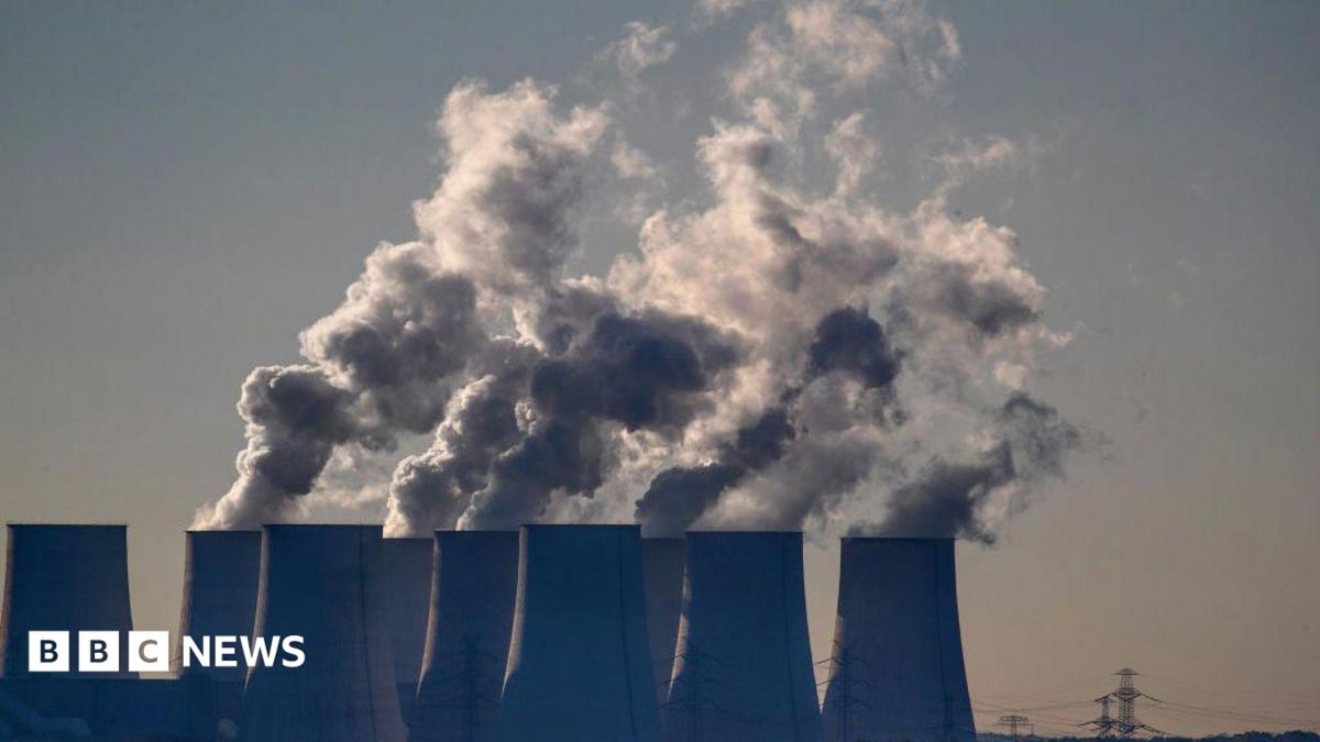 EU proposes slowing down cuts to carbon emissions for businesses