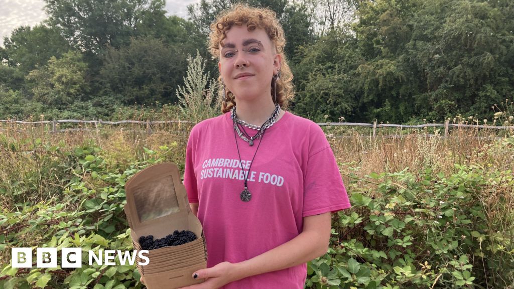 'We are rescuing unpicked blackberries'