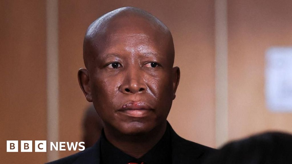 South African opposition figure Malema sentenced to five years in prison for firing a gun