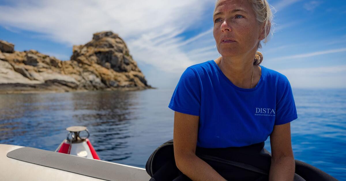 Italy’s foreign minister says divers found bodies of 4 Italians in Maldives sea cave