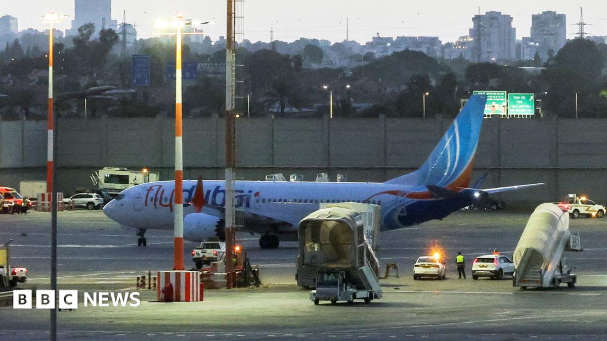 Flydubai co-pilot planned to crash plane into Tel Aviv airport or building, reports say