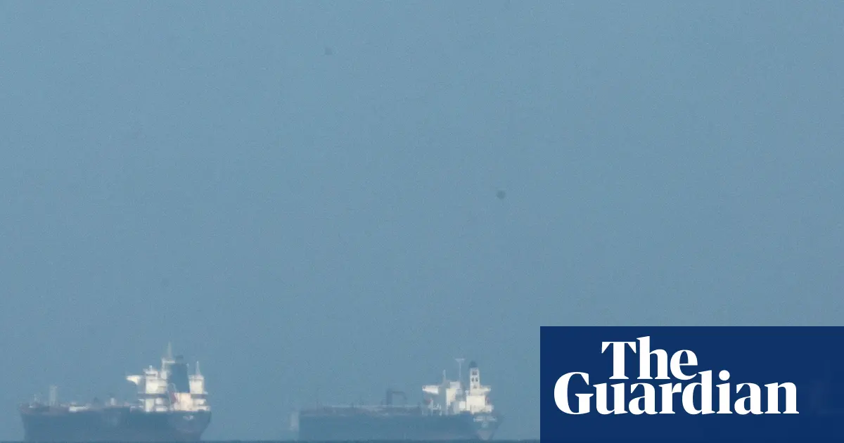 ‘A big burden for farmers’: Gulf shipping crisis threatens food price shock