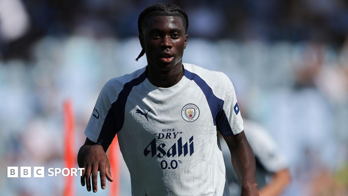 Swansea agree loan of Man City's Monga as Walta to leave