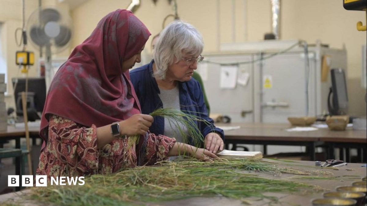 Why scientists watched grass grow for 170 years
