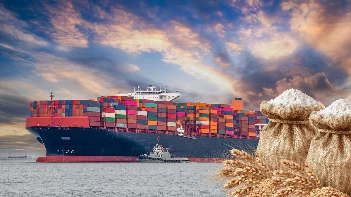 India resumes wheat exports after four years; faces price pressure in global market – Report