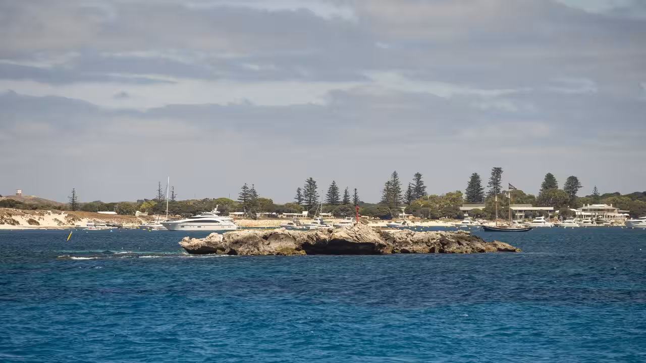 Man dead after shark attack on Western Australia's Rottnest Island