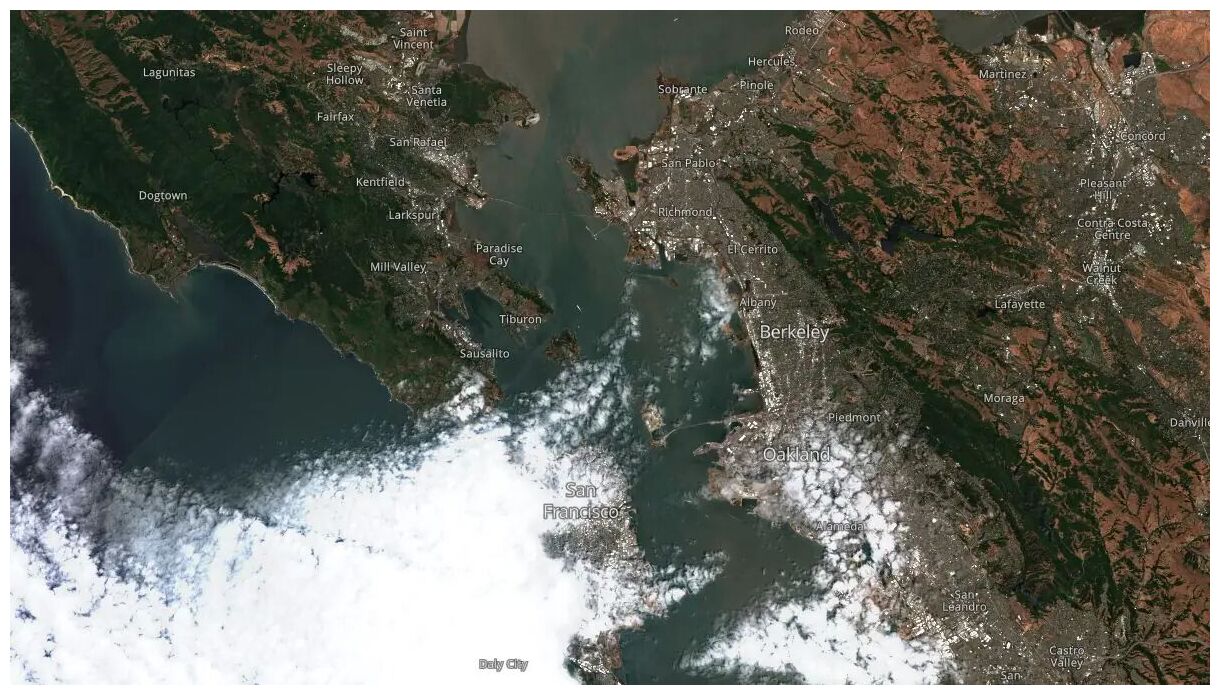 Whale mortality rises in San Francisco Bay with 22 confirmed carcasses in 2025