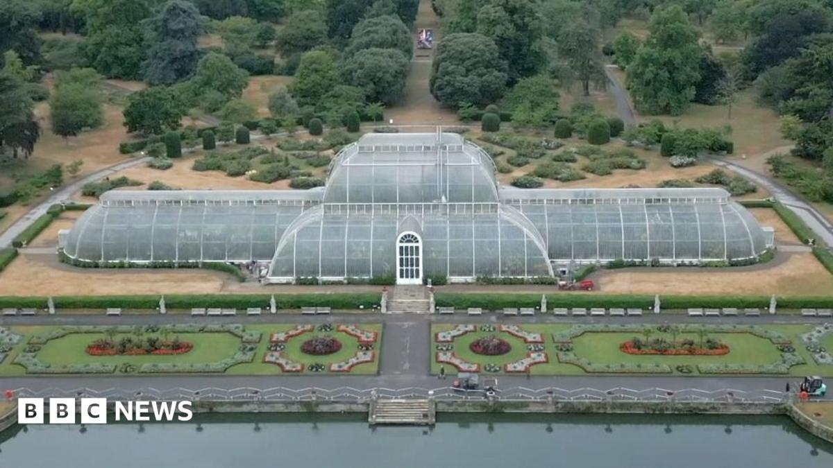 How to move 1,300 plants for Kew's Palm House mega makeover