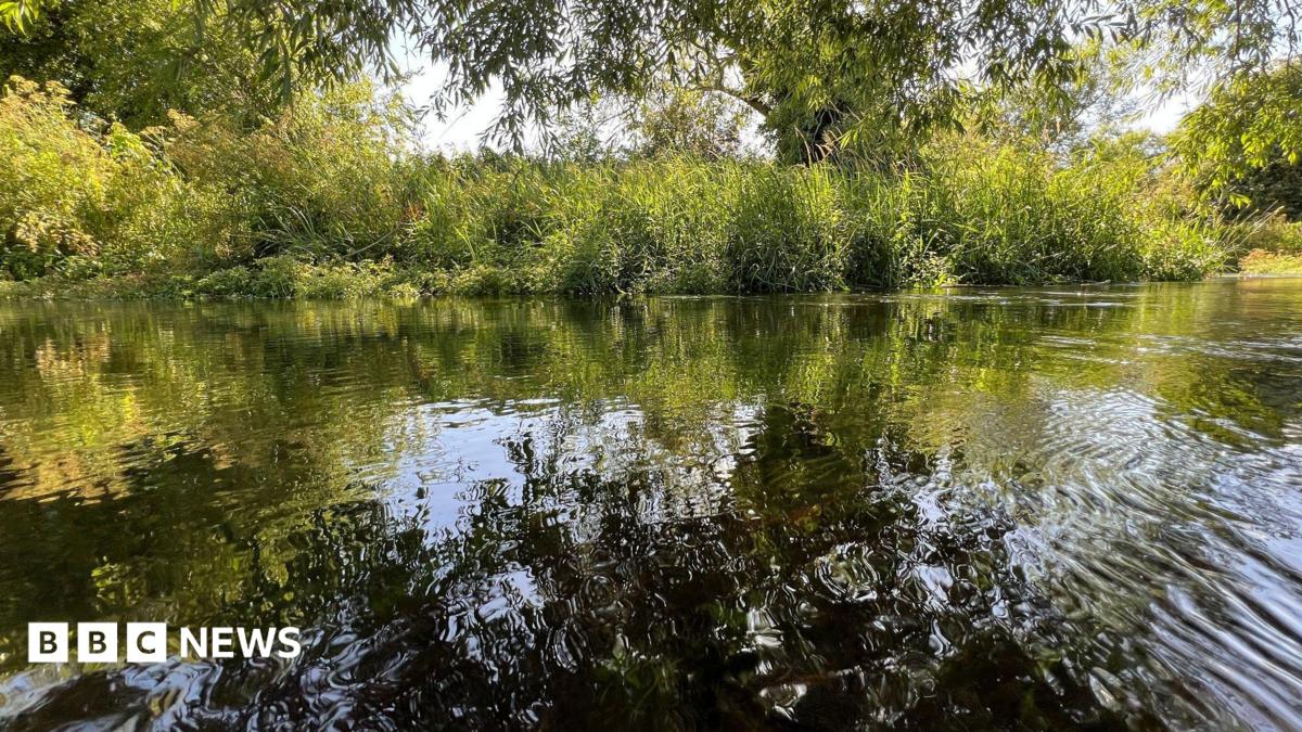 Thames Water 'flagship' chalk stream rated as poor