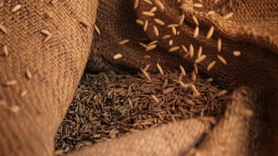 India’s basmati rice exports at risk amid rising Middle East tensions, ₹6,000 crore Iran market hit