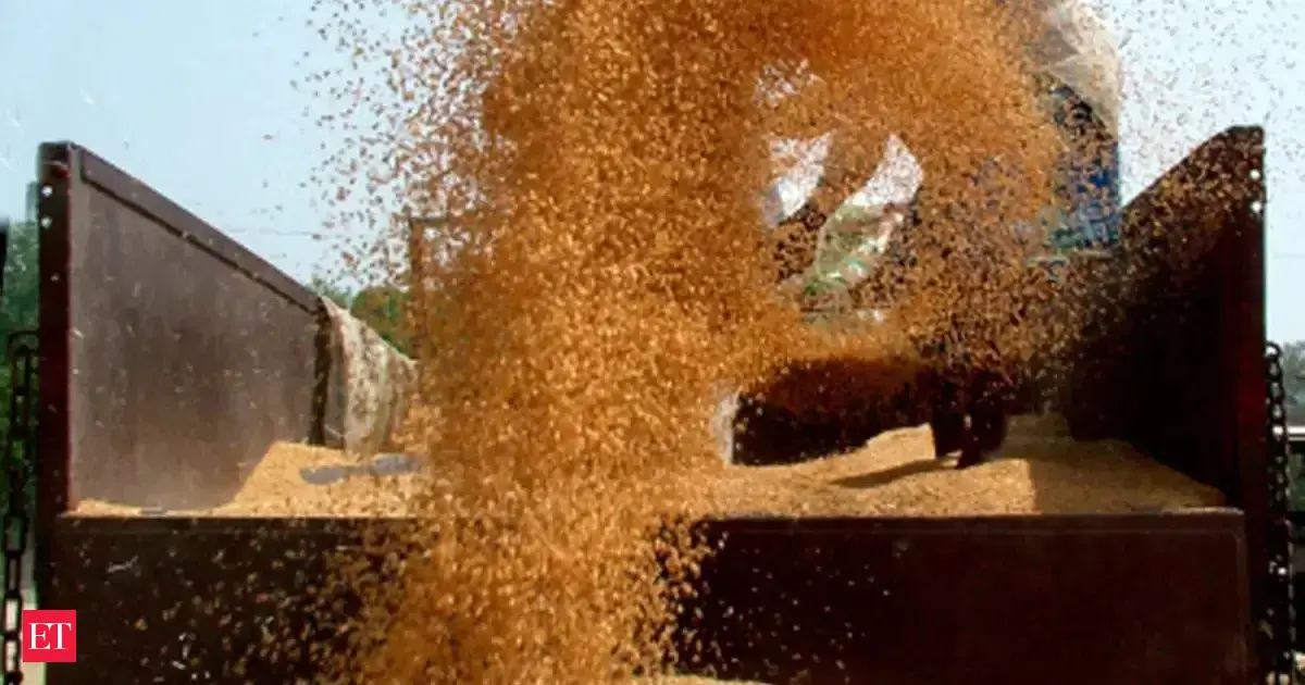 India begins wheat exports after four-year hiatus on bumper crop