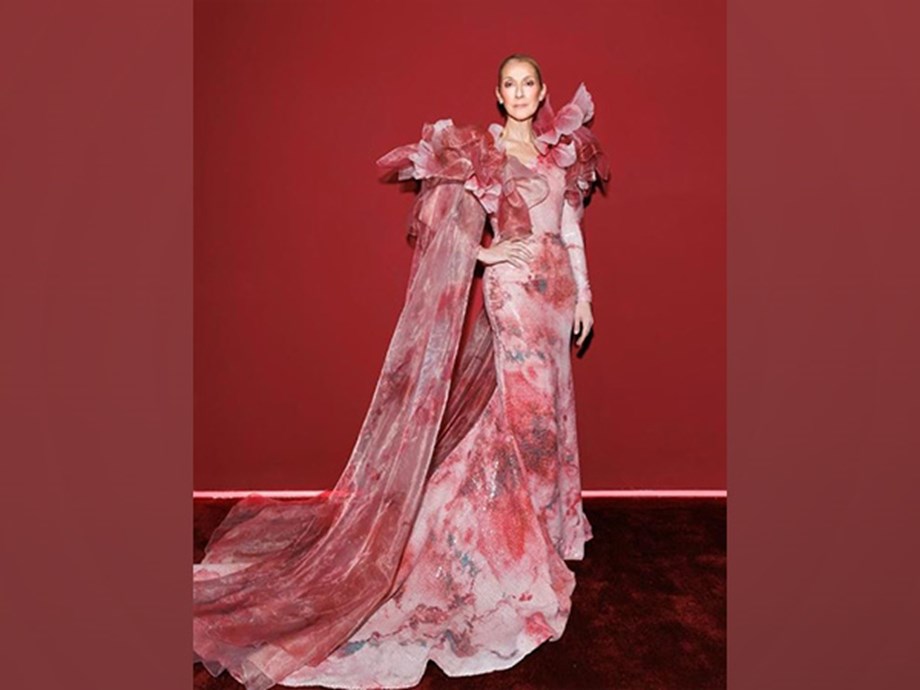 Celine Dion's Triumphant Return: Paris Concert Series Announced