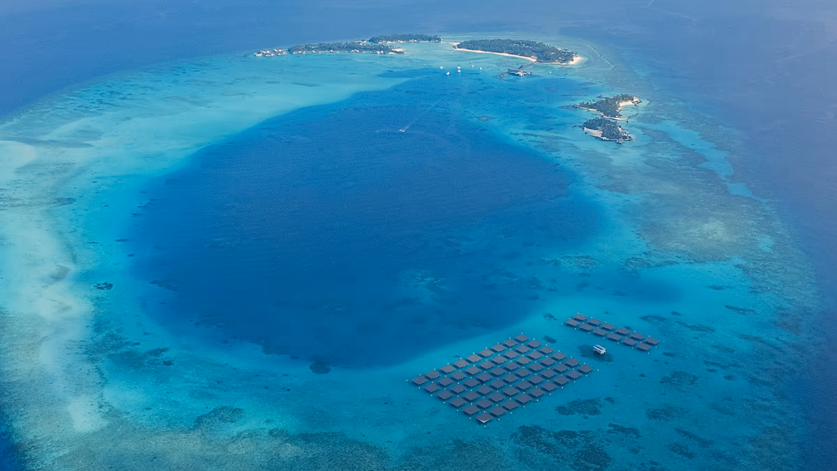 Five Italians die in Maldives cave diving tragedy