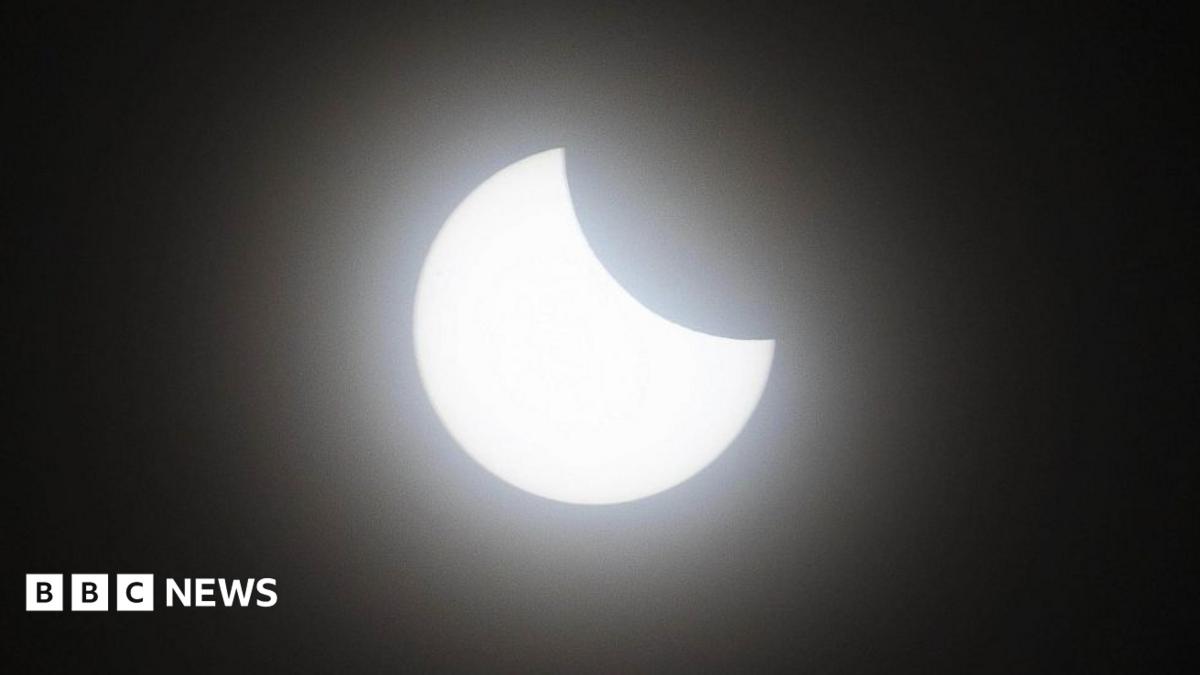No surge in bookings but eclipse 'boosts footfall'