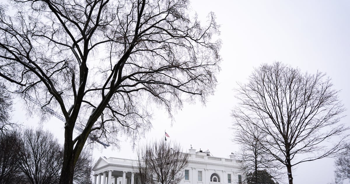 Trump’s 10% levy takes effect as US rebuilds tariff wall