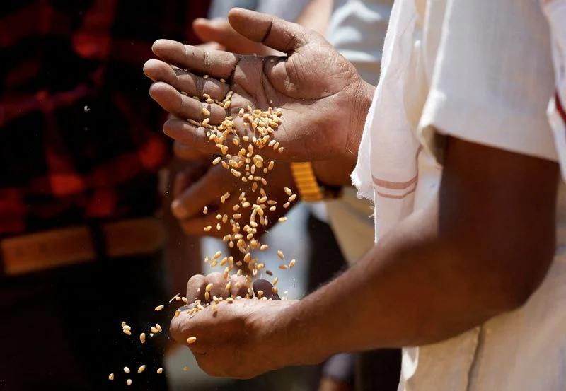 India resumes wheat exports after four years but high prices likely to limit demand