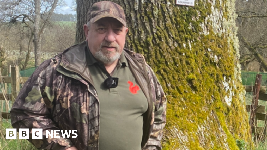 Remote volunteers use CCTV to save red squirrels