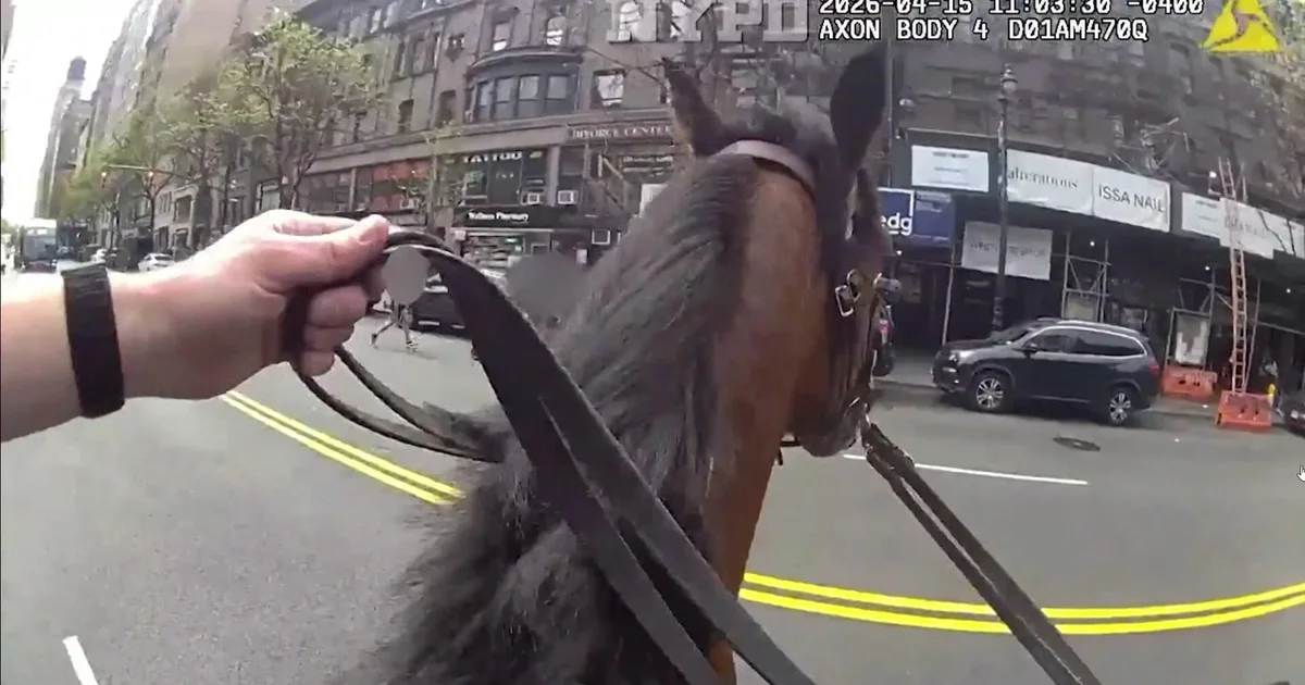 Video shows NYPD officer on horseback chase down suspected purse snatcher