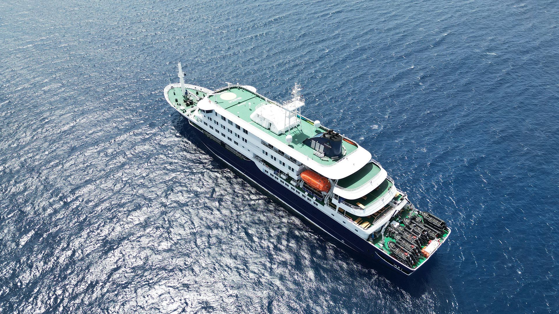 Andes virus - the only hantavirus that can spread between people - identified as culprit on cruise ship