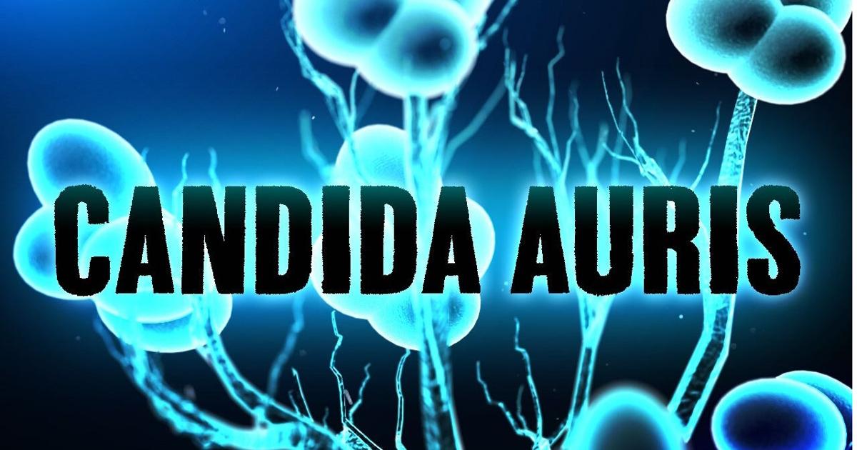 University study finds hospital wastewater can detect deadly fungus months before symptoms