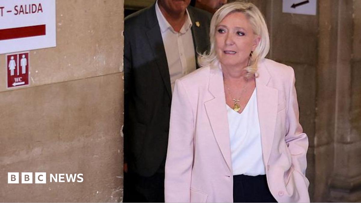 Marine Le Pen to run for French presidency and appeal conviction in top court