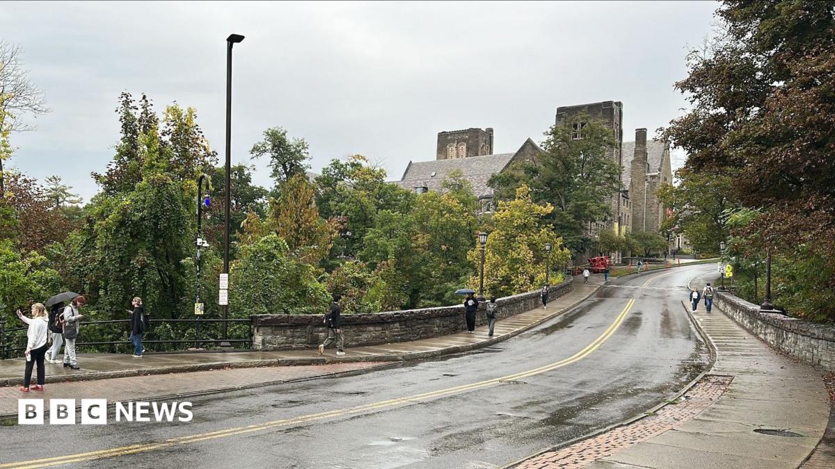 Cornell accuser was 'failed' by university health care system, lawyer says