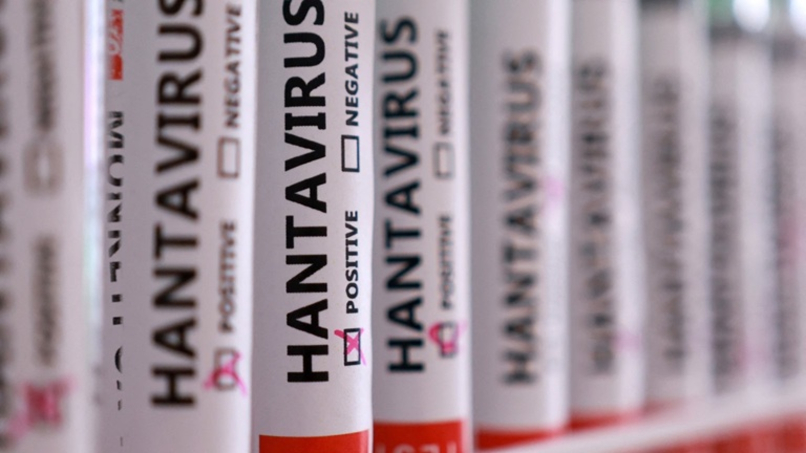 Hantavirus vaccine: No FDA-approved vaccine for rare virus strain
