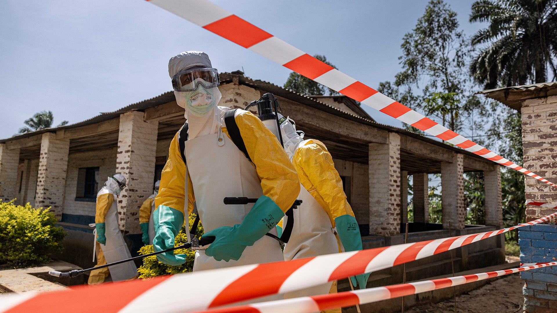 3 new Ebola vaccines are being fast-tracked amid the current outbreak - when could they be ready?