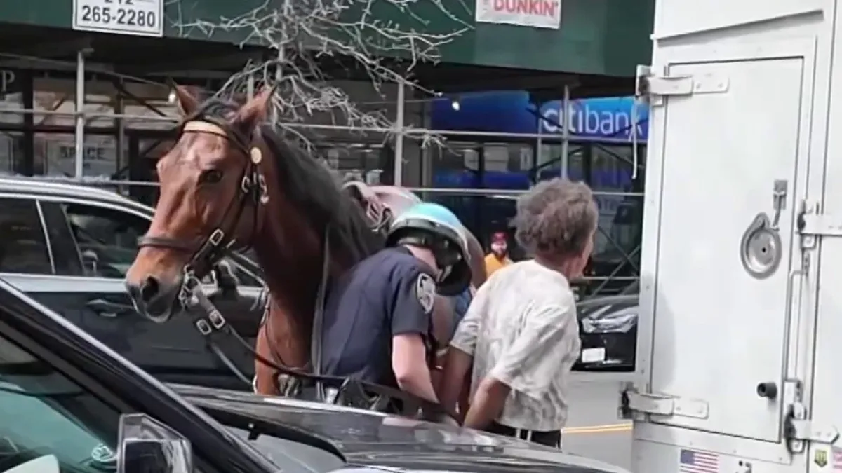 ‘Stop running!' Watch NYPD officer on horseback chase down purse thief in Manhattan