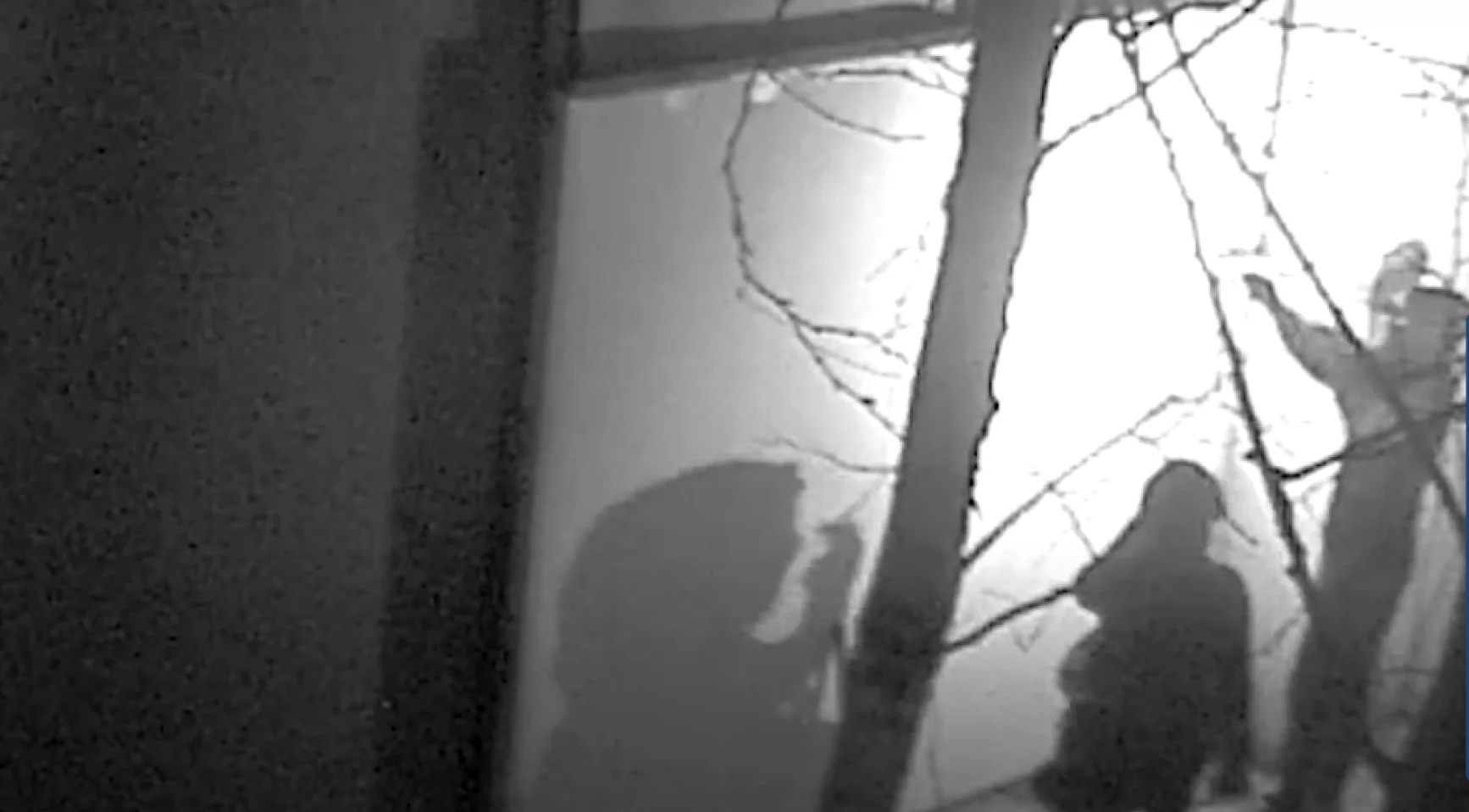 Drents Museum heist: Men sentenced to 47 months in ...  for theft of Dacian treasures