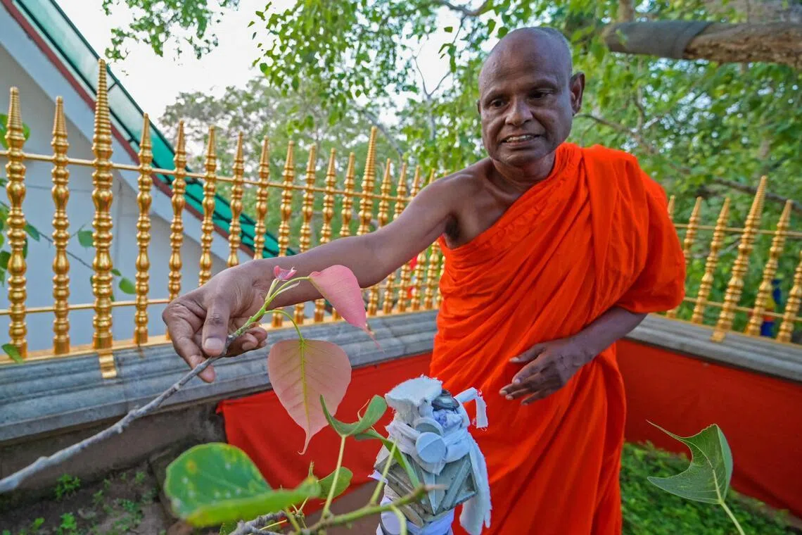 Top Sri Lankan Buddhist monk arrested over alleged sex abuse