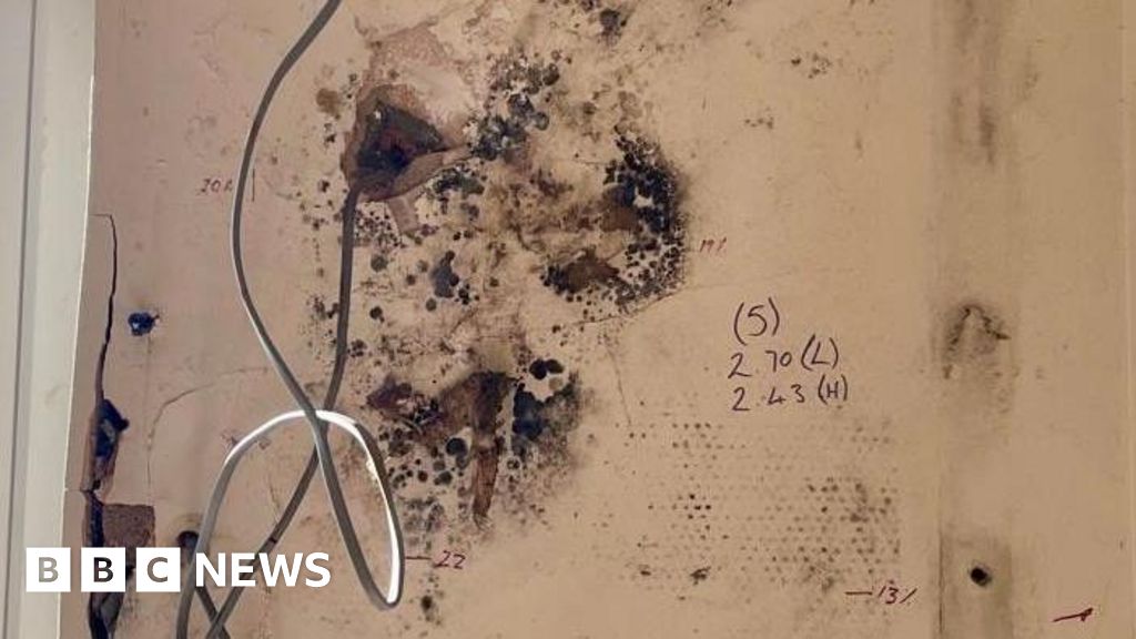 Four arrested over suspected home insulation scheme fraud