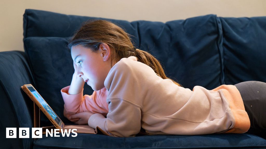 When will social media ban start, and which apps will be affected?