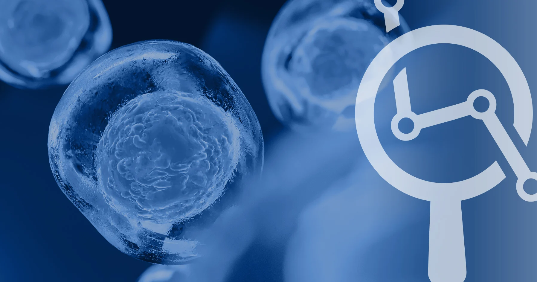 Polyendocrine Metabolic Ovarian Syndrome: New name to improve diagnosis and care of condition affecting 170 million women worldwide