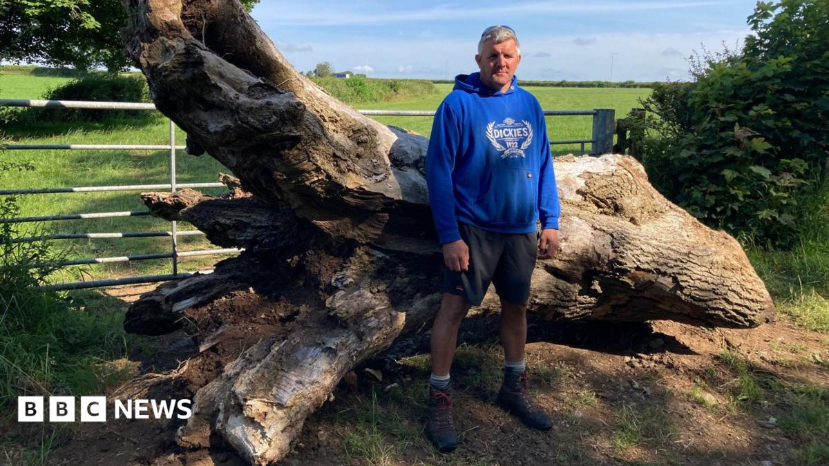 Gates smashed and crops destroyed as farmers threatened by gangs hunting hares