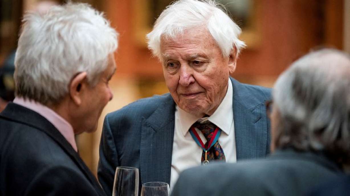 David Attenborough, 'the voice for nature,' turns 100