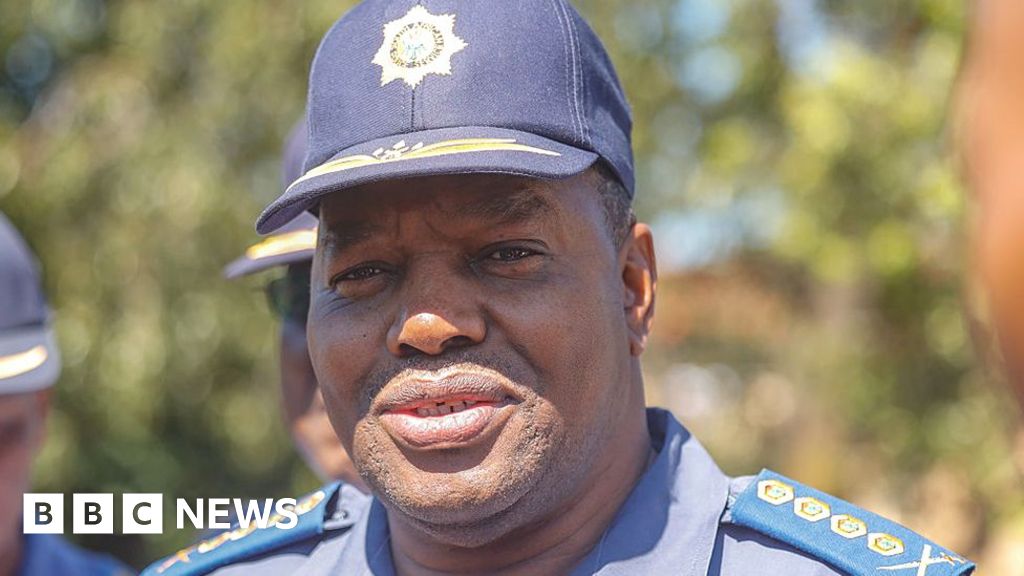 South African police chief suspended over $20m health contract