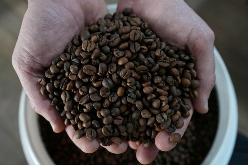 World's largest urban coffee plantation welcomes new trees in Brazil