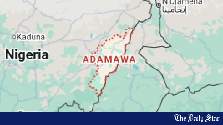 Gunmen kill 29 in northeast Nigeria's Adamawa: state governor