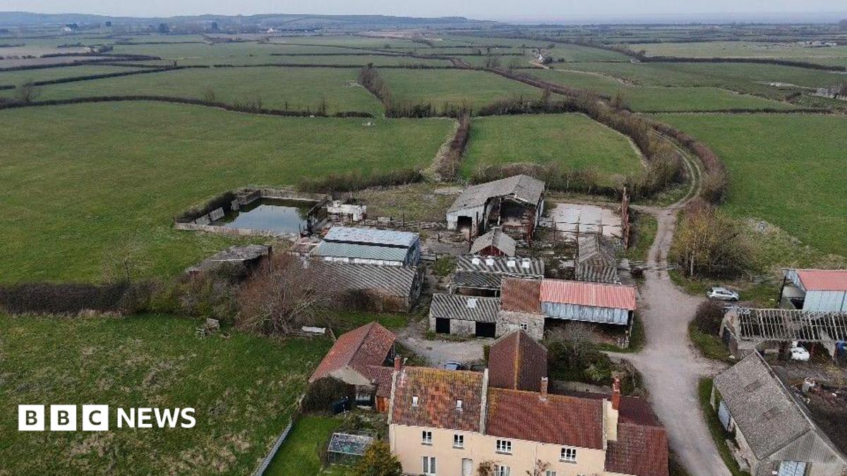 Farm to become 'beacon of hope' nature reserve