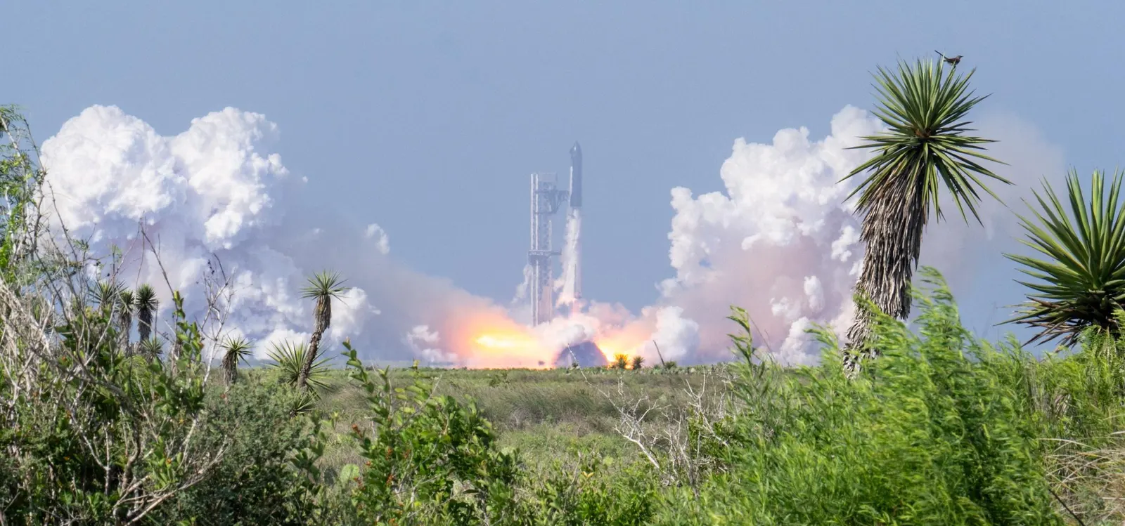 SpaceX IPO Targets Record $75 Billion Raise At $135 Shares, Per Report