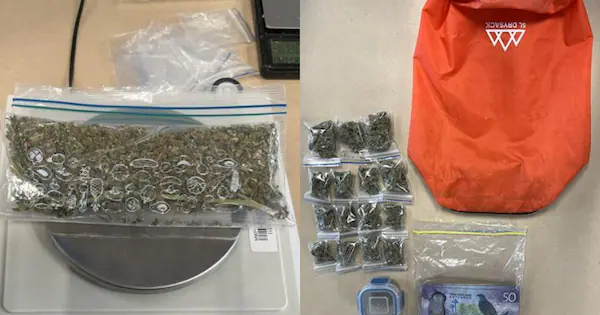 Teens arrested after returning for cannabis-filled bag left outside op shop