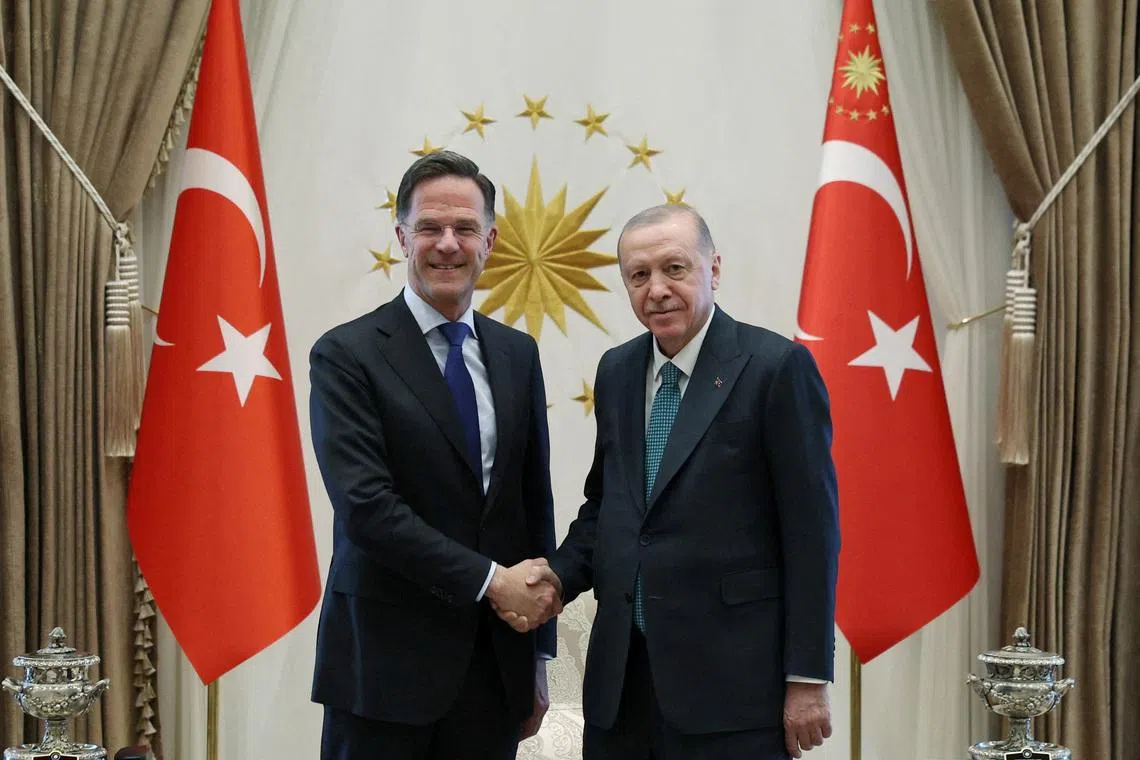 Turkey trying to revive Russia-Ukraine negotiations, Erdogan tells NATO chief