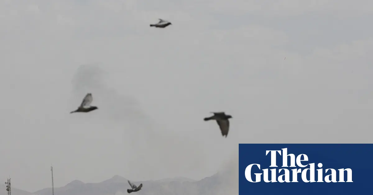 Smoke rises in Tehran after US and Israel launch joint attack on Iran – video