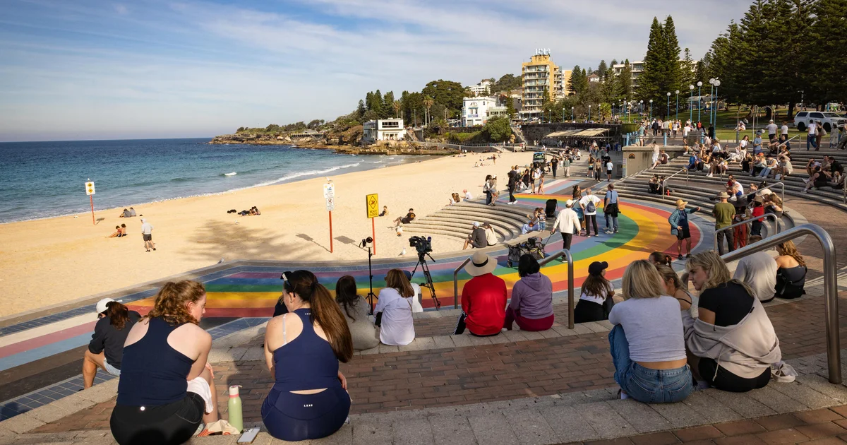 Lifeguard helps save woman critically injured in Australia shark attack: 'The size of it shocked me'