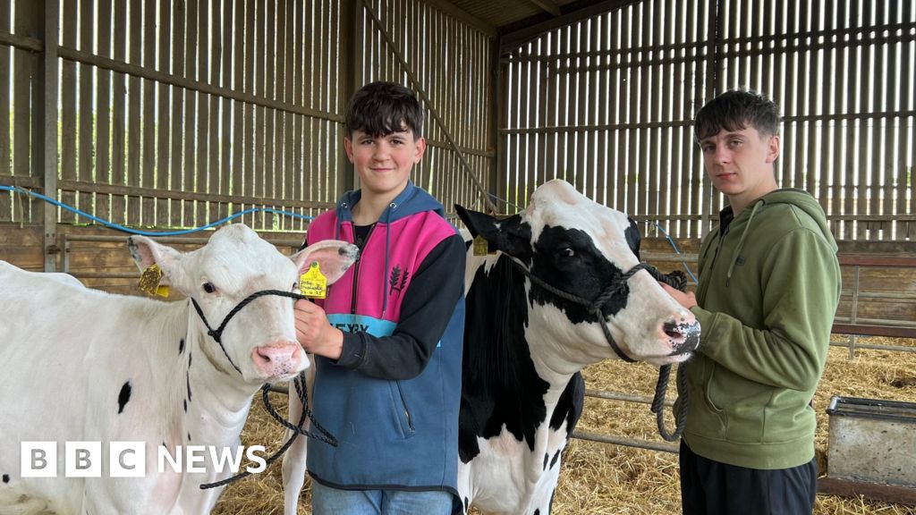 Farmers' warning as milk prices fall below cost