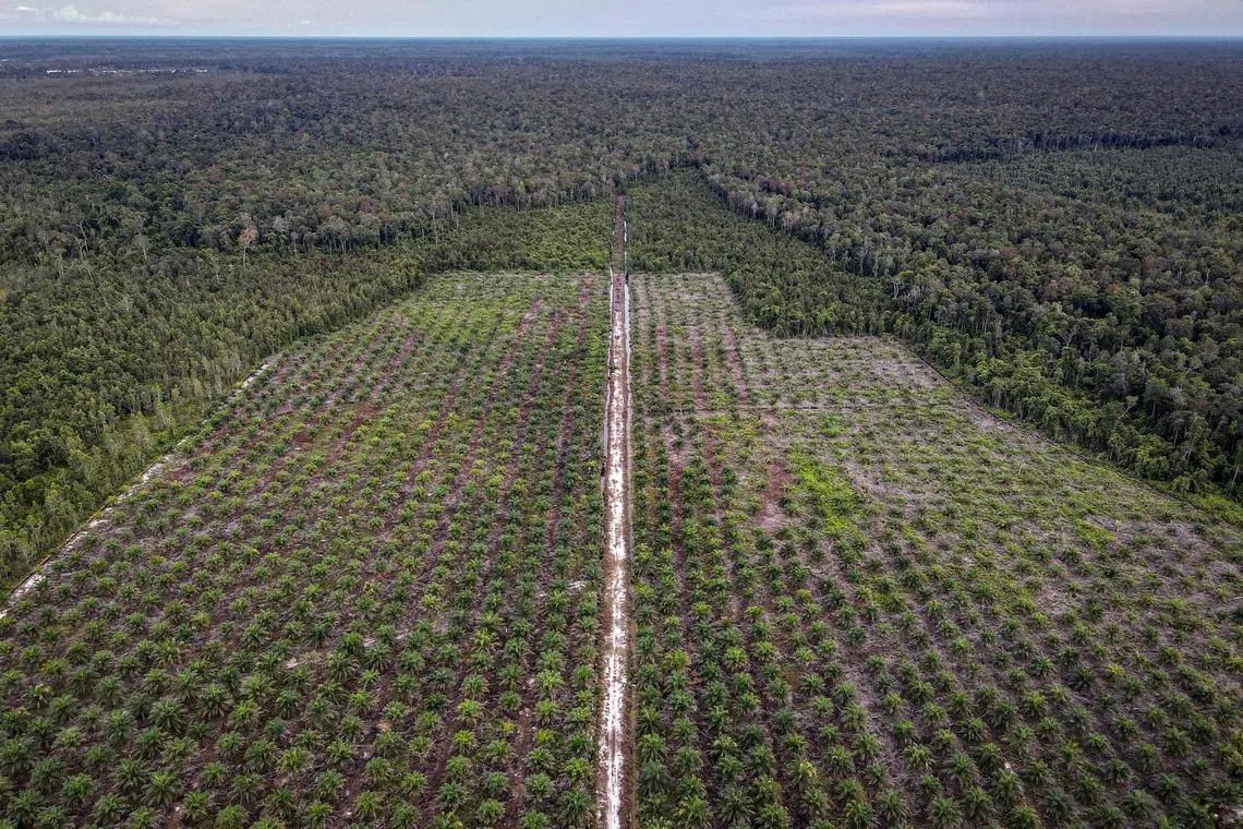 Indonesia plans to tighten state control over commodity exports
