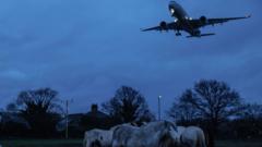 Heathrow's 'critical' expansion blueprint released