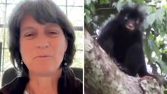 New monkey species a 'fascinating discovery', study lead says